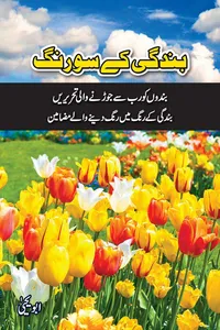 Bandagi Kay Sau Rang By Abu Yahya_S