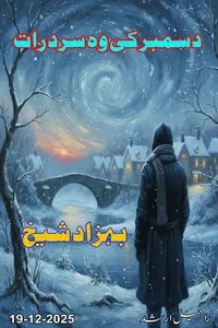 December Ki Woh Sard Raat By Behzad Sheikh_S