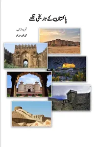 پاکستان کے تاریخی قلعے از محمد انور سندھو
