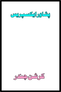 پشاور ایکسپریس از کرشن چندر