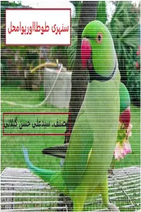 سنہری طوطا اور ہوا محل از سید علی حسن گیلانی