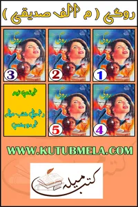 روگی از م الف صدیقی ٹچ کلیکشن