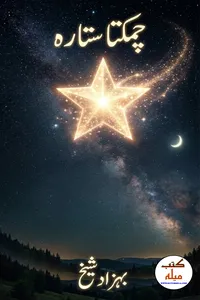 چمکتا ستارہ از بہزاد شیخ